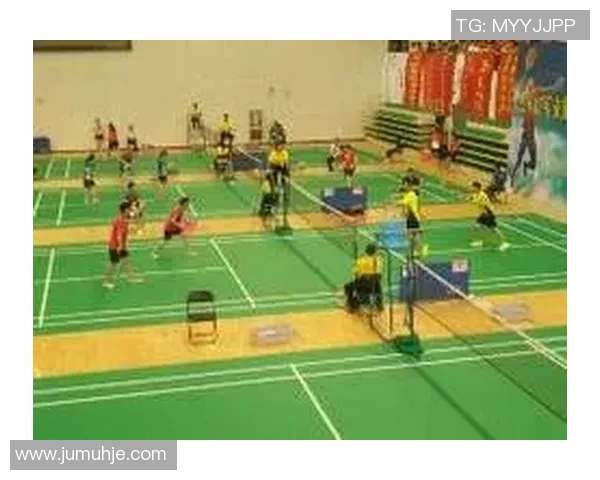 对话赵静：回顾羽毛球生涯的辉煌与挑战